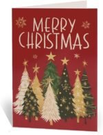 Christmas & New Year’s Gift