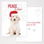 Christmas & New Year’s Gift - Image 9