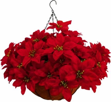 Christmas & New Year Decor.