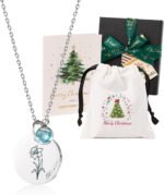 Christmas & New Year’s Gift