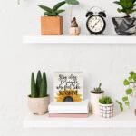 Home Decoration - Image 4