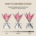 Home Decoration - Image 4