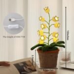 Home Decoration - Image 2