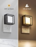 Home Decoration - Image 2