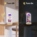 Christmas & New Year’s Gift - Image 3