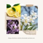 Home Decoration - Image 7