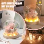 Christmas & New Year’s Gift - Image 2