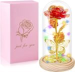 Christmas & New Year’s Gift