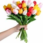 Home Decoration - Image 3