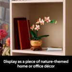 Home Decoration - Image 6
