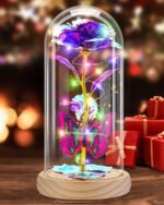 Christmas & New Year’s Gift