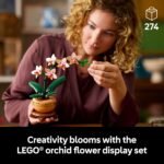 Home Decoration - Image 2