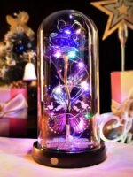 Christmas & New Year’s Gift