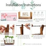 Home Decoration - Image 3