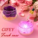 Christmas & New Year’s Gift - Image 2