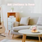 Christmas & New Year’s Gift - Image 7