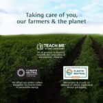 Christmas & New Year’s Gift - Image 7