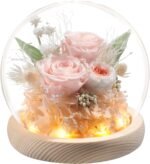 Christmas & New Year’s Gift