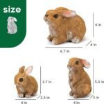 Home Decoration - Image 3