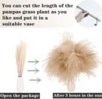 Home Decoration - Image 5