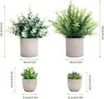 Home Decoration - Image 2