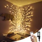 Home Decoration