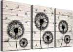 Home Decoration