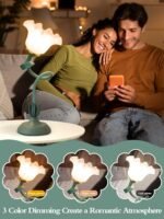 Home Decoration - Image 3