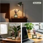 Home Decoration - Image 7