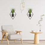 Home Decoration - Image 4