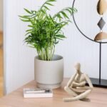 Home Decoration - Image 5