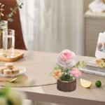 Home Decoration - Image 5