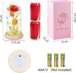 Christmas & New Year’s Gift - Image 7