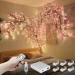 Home Decoration