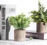 Kitchen Decoration - Image 7