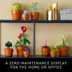 Kitchen Decoration - Image 6