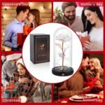 Christmas & New Year’s Gift - Image 9