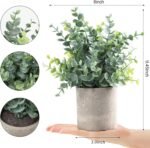 Home Decoration - Image 7