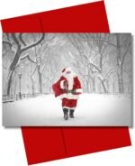 Christmas & New Year’s Gift