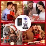 Christmas & New Year’s Gift - Image 9