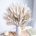 Home Decoration