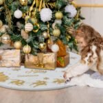 Christmas & New Year Decor. - Image 5