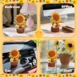 Home Decoration - Image 6