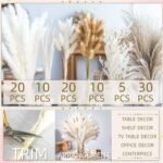 Home Decoration - Image 4
