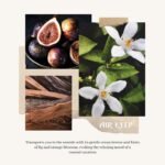 Home Decoration - Image 6