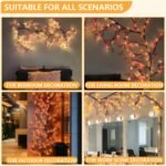 Home Decoration - Image 6