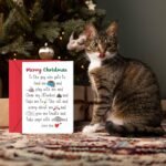 Christmas & New Year’s Gift - Image 6