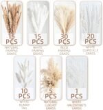 Home Decoration - Image 4