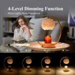 Home Decoration - Image 4