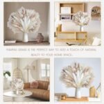 Home Decoration - Image 3